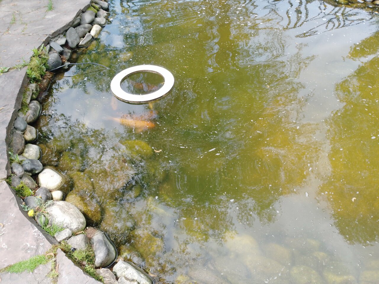 Гостиница Восход Междуреченск-74