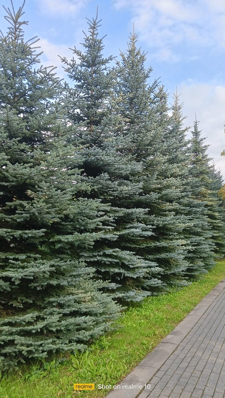 Гостиница Восход Междуреченск-83