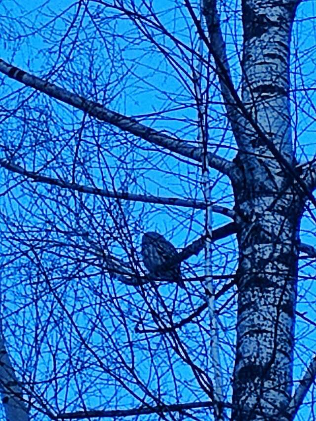 Гостиница Восход Междуреченск-89